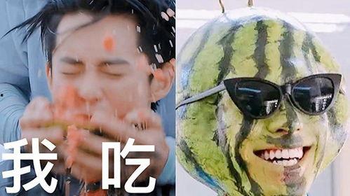 搞笑刺客吃瓜,一场笑料百出的江湖风云  第2张