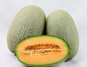 西班牙哈密瓜怎么吃,西班牙哈密瓜的多彩食法探索  第3张