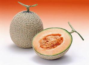 吃哈密瓜失眠,却让你夜不能寐？揭秘失眠之谜