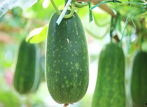 吃瓜怕错过什么,全方位解析，让你不错过任何热点事件  第2张