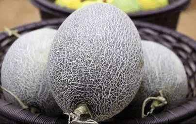 我叫吃瓜必备技能,解锁轻松解读娱乐圈风云的必备技能  第3张