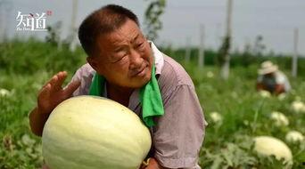 用吃瓜的方式  第3张