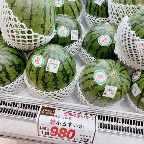 吃瓜粒上厕所  第3张