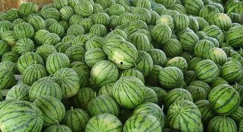 汾阳广场吃瓜视频,趣味横生的街头一幕  第3张