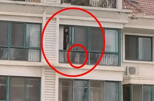 顶楼吃瓜视频,揭秘娱乐圈背后的秘密与八卦  第2张