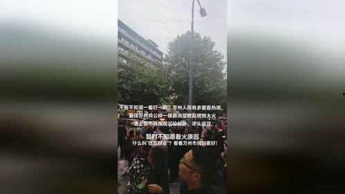 顶楼吃瓜视频,揭秘娱乐圈背后的秘密与八卦  第3张
