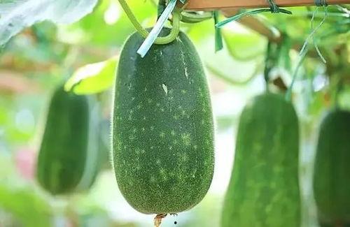 吃瓜喝风,揭秘娱乐圈的幕后故事  第2张