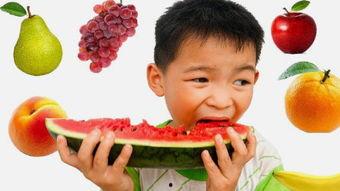 吃瓜趣味游戏,揭秘吃瓜趣味游戏的欢乐时光  第3张