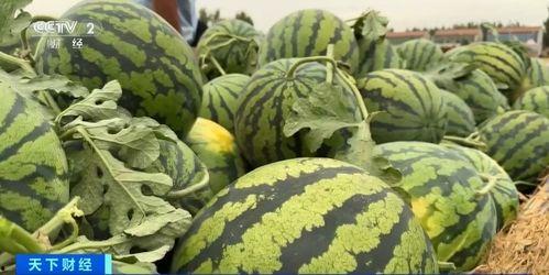 吃瓜直击,揭秘娱乐圈幕后真相  第2张