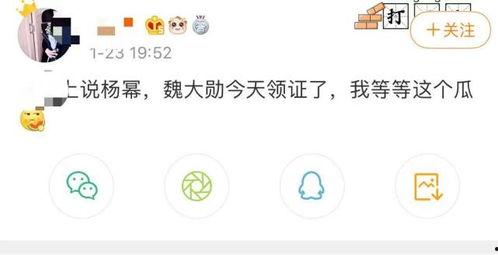 吃瓜自拍的文案短句,趣味横生的瞬间捕捉