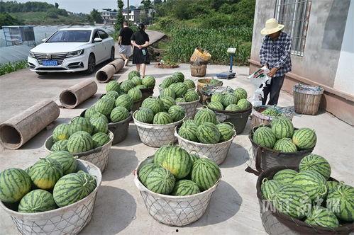 北龙湖最新吃瓜,最新吃瓜事件揭秘  第2张