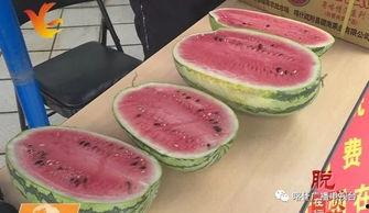 从化吃瓜,探寻岭南特色美食之旅  第3张