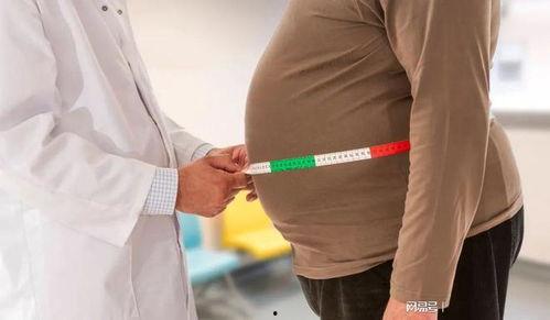 肥胖吃二甲双瓜减肥吗  第3张