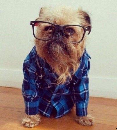 带你吃瓜说动物,揭秘动物界的趣味生活  第2张