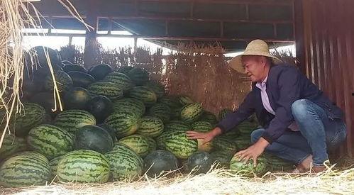 昆明渣男避雷吃瓜