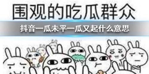 吃瓜抖音大全,揭秘热门事件背后的真相与笑料  第3张