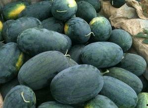 日照莒县吃瓜事件,一场网络热议背后的真相与反思