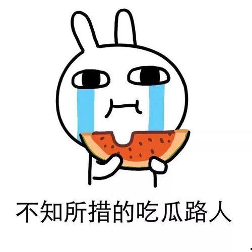 哈哈吃瓜  第3张