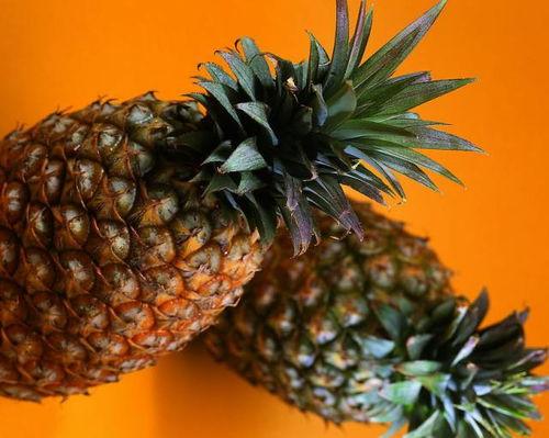 dy菠萝吃瓜,揭秘网络红人的瓜田奇遇  第3张