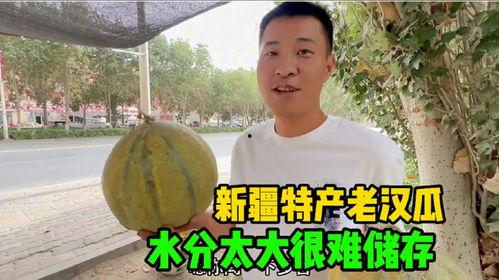 吃新疆的老汉瓜,舌尖上的新疆风情  第2张