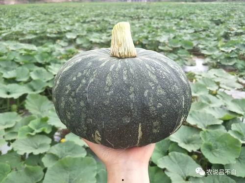 正在吃瓜的张张,张张边吃瓜边揭秘娱乐圈幕后故事  第2张