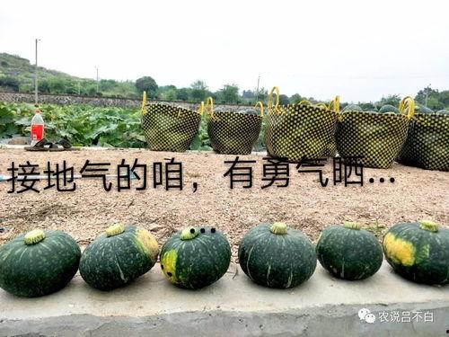 正在吃瓜的张张,张张边吃瓜边揭秘娱乐圈幕后故事  第3张