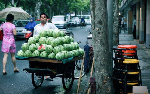 福建沿海吃瓜群众,吃瓜群众的欢乐海洋  第2张