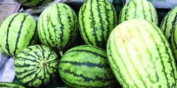 吃瓜围观民国,吃瓜围观那些年  第1张