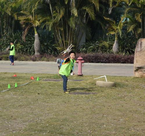 吃瓜群众种菜视频 第2张 吃瓜群众种菜视频 第2张