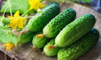 吃瓜水产美人,探寻水产美食与美丽人生 第3张 吃瓜水产美人,探寻水产美食与美丽人生 第3张