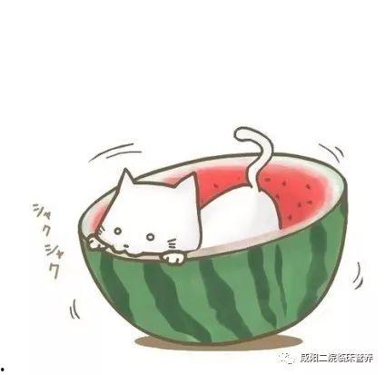 吃瓜群众动漫图像,动漫世界里的欢乐观察者  第3张