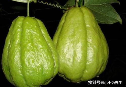 便秘吃佛手瓜好吗,天然食疗新选择  第1张