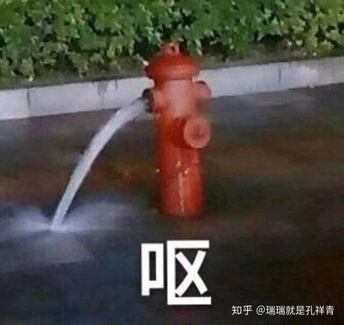 悟空吃瓜头像高清 第2张 悟空吃瓜头像高清 第2张